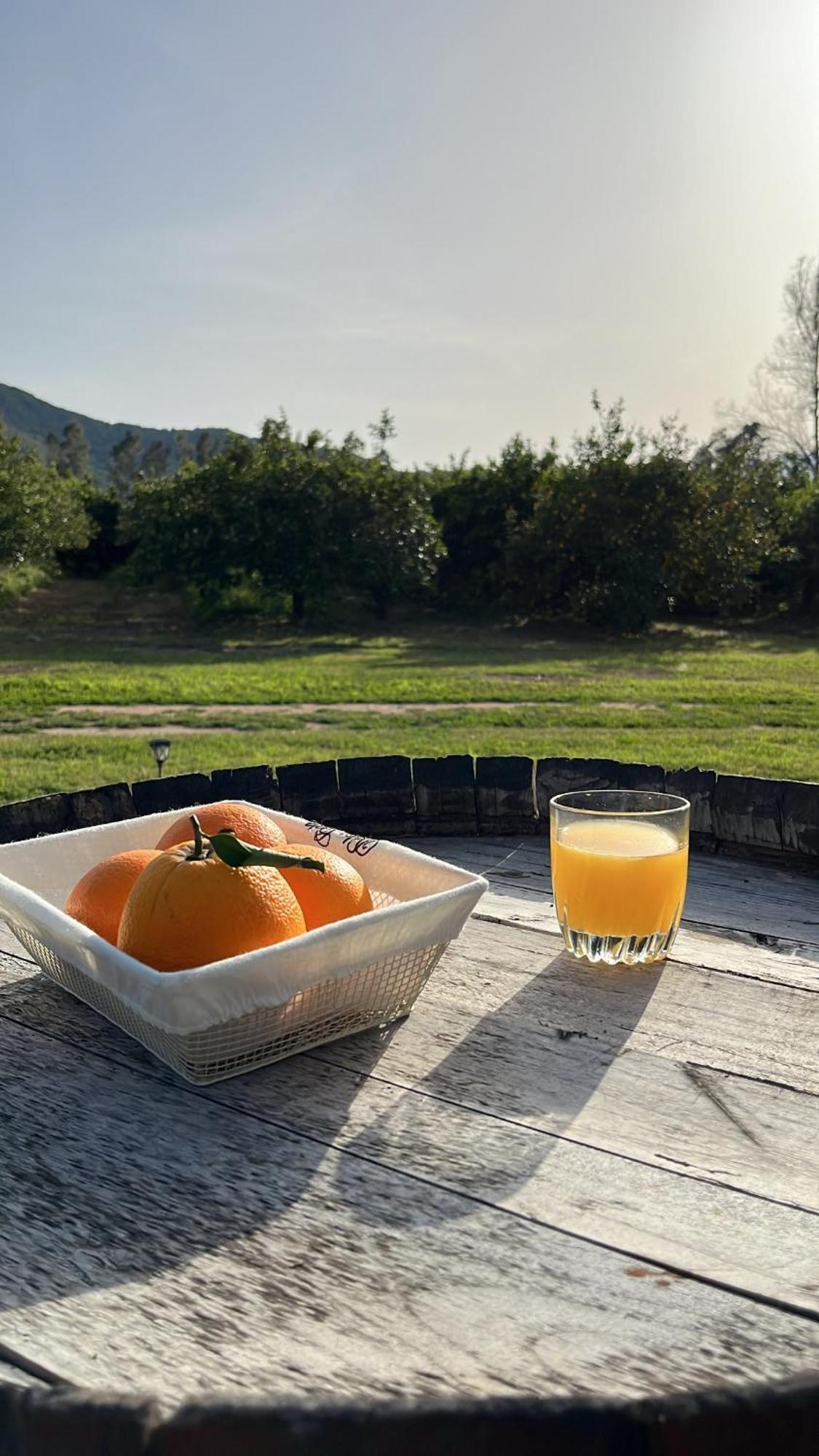 Bidd'E Majori Bed & Breakfast San Priamo Luaran gambar