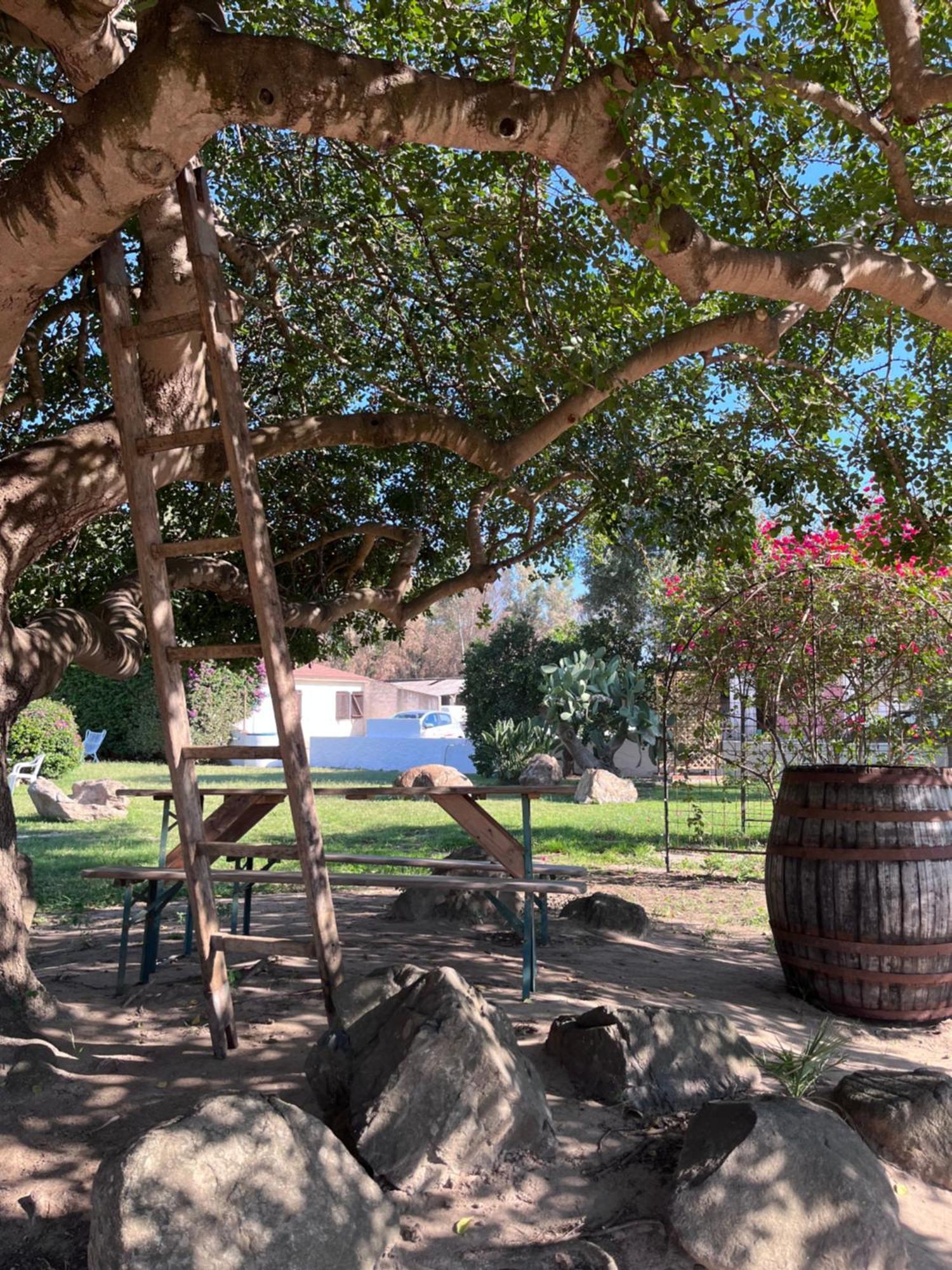 Bidd'E Majori Bed & Breakfast San Priamo Luaran gambar
