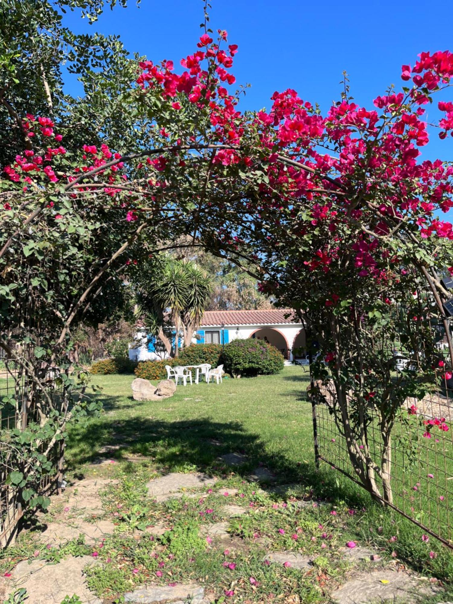 Bidd'E Majori Bed & Breakfast San Priamo Luaran gambar